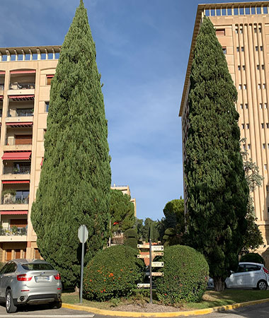 Vue générale de la perspective Mozart